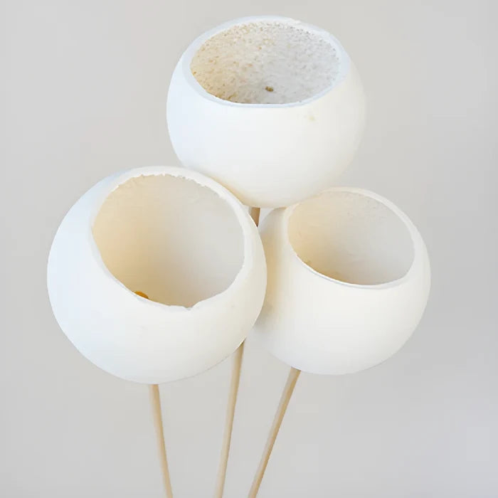 Natural Dried Bell Cup Pods