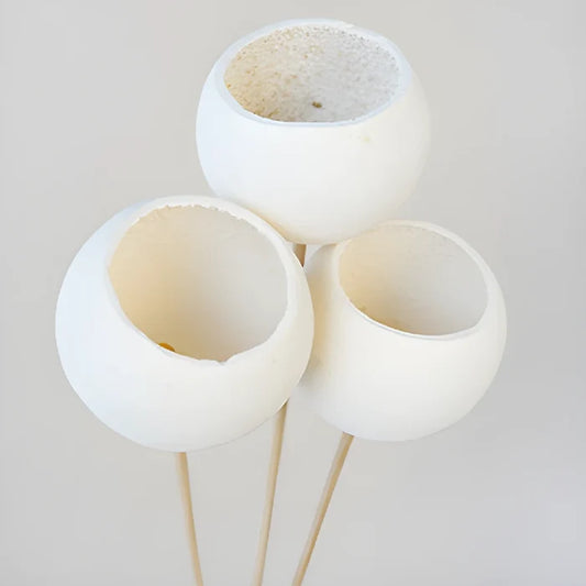 Natural Dried Bell Cup Pods