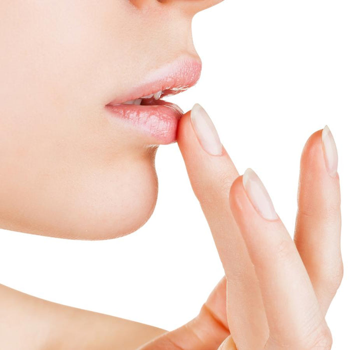 NICKA K NEW YORK Cocoa Butter Lip Therapy - ikatehouse