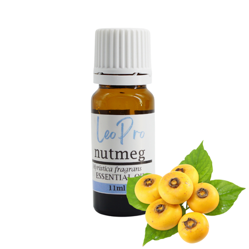 Nutmeg Essential Oil 11ml - Myristica fragrans