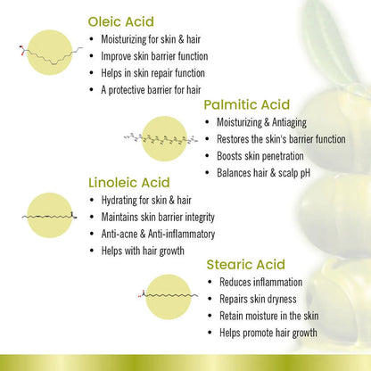 Olive Body Oil, Quick Absorbing Non-Sticky Nourishment I Hair & Skin, Daily Use After Bath Massage Oil I Pure Olive & Essential Oils Enriched - Keya Seth Aromatherapy