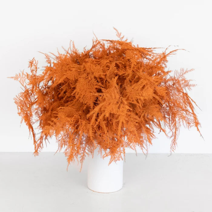 Orange Enhanced Plumosa Fern Greenery Vase - Image