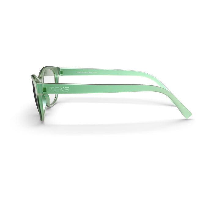 Eyeglasses