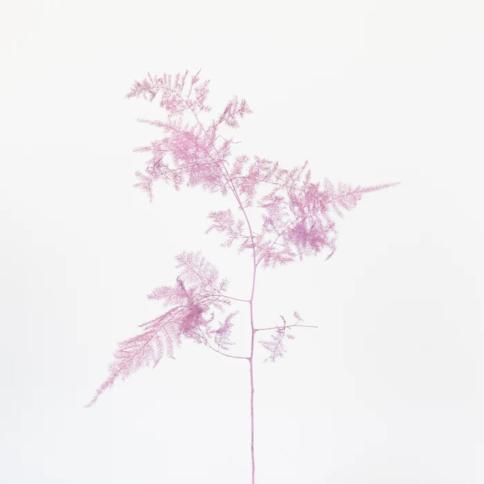 Pink Enhanced Plumosa Fern Greenery Stem - Image