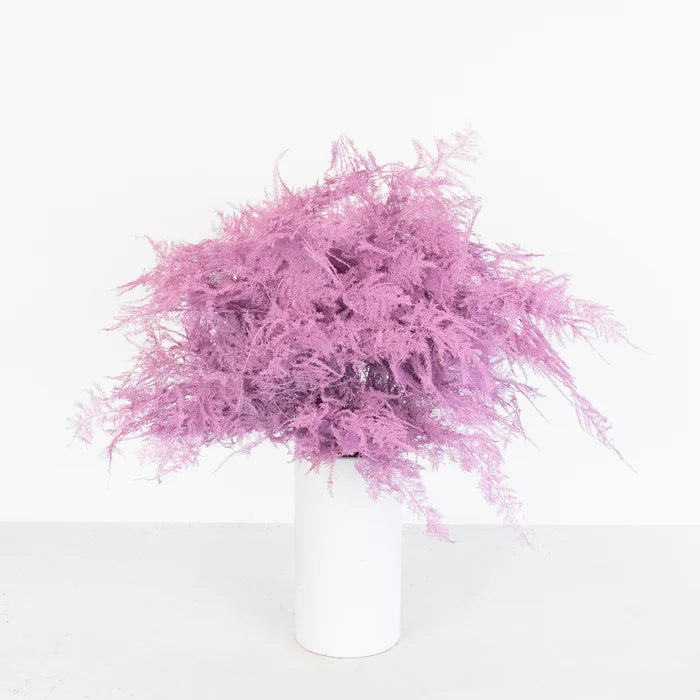 Pink Enhanced Plumosa Fern Greenery Vase - Image