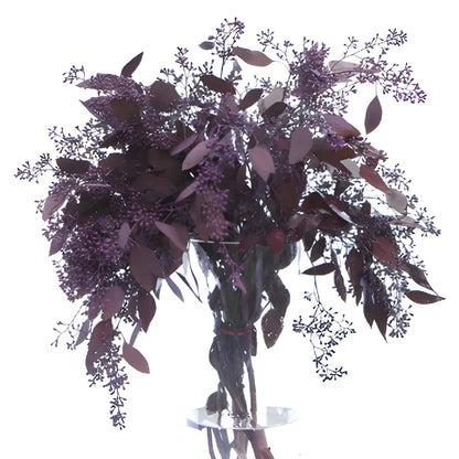 Eggplant Seeded Eucalyptus for Weddings