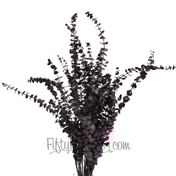 Eggplant Seeded Eucalyptus for Weddings