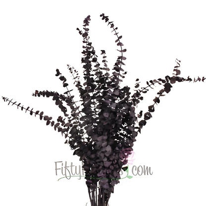 Eggplant Seeded Eucalyptus for Weddings