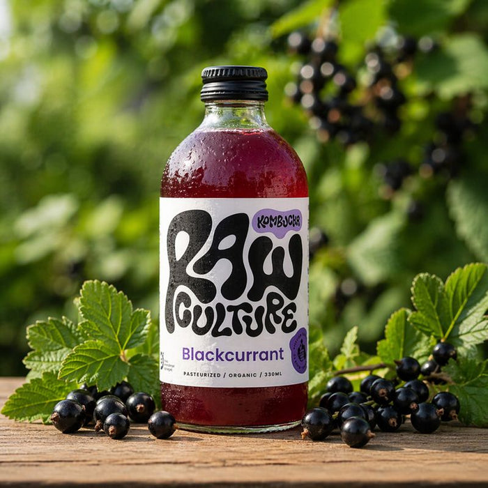 Raw Culture - Kombucha med solbær - Økologisk - 330 ml.