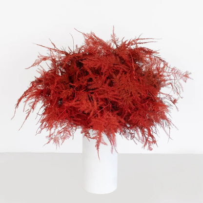 Red Enhanced Plumosa Fern Greenery Vase - Image
