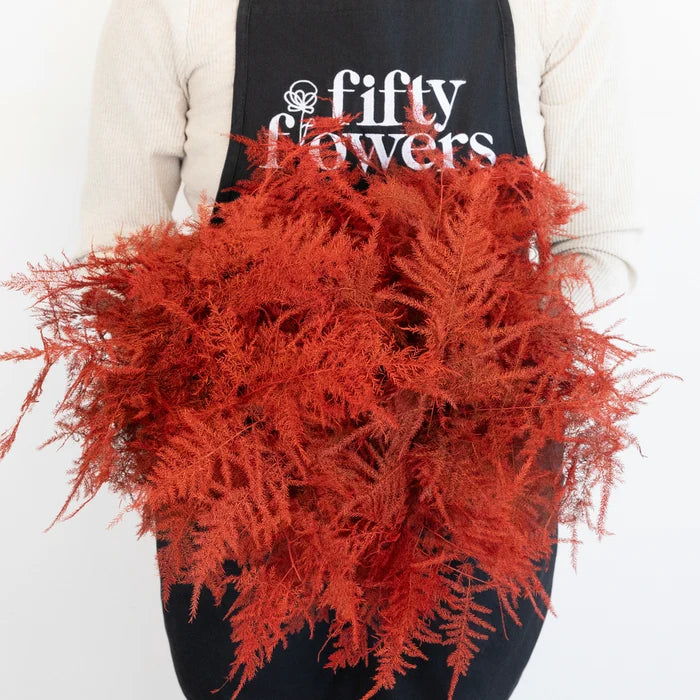 Red Enhanced Plumosa Fern Greenery Apron - Image