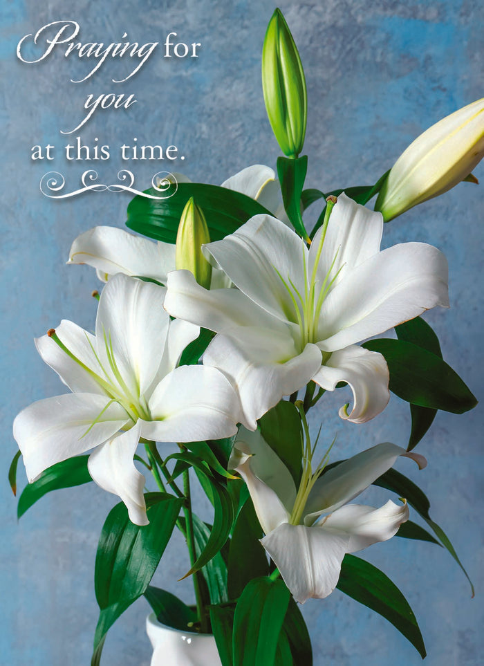 Religious Sympathy Cards by Shared Blessings- Lilies - 12 Cards and Envelopes