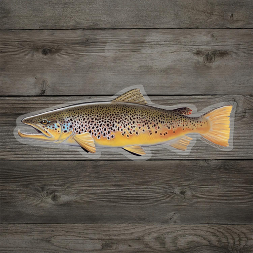 Rep Your Water Brown Trout Sticker