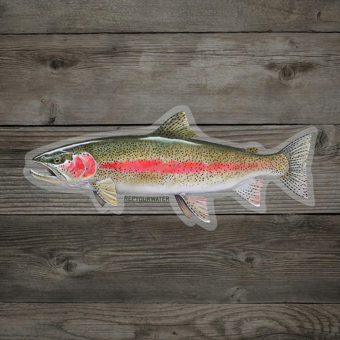 Rep Your Water Cold Water Rainbow Sticker