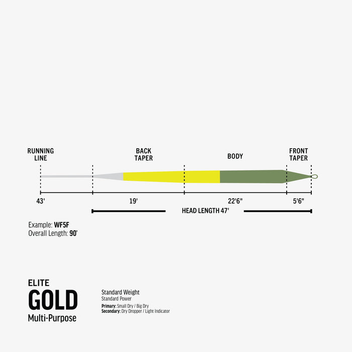 RIO Elite Gold
