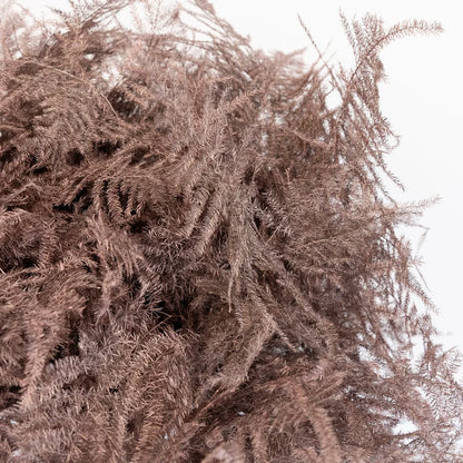 Rose Gold Enhanced Plumosa Fern Greenery Close Up - Image