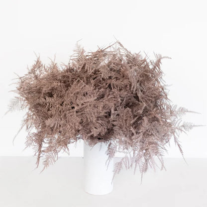 Rose Gold Enhanced Plumosa Fern Greenery Vase - Image
