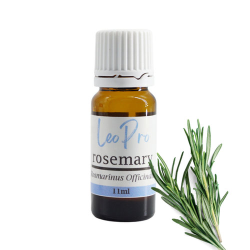 Rosemary Essential Oil 11ml - Rosmarinus officialis