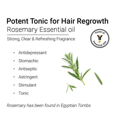 Rosemary Essential Oil, Natural Therapeutic Grade, Hair Growth, Hair Fall Control & Nourishment, Even Skin Tone 10ml - Keya Seth Aromatherapy