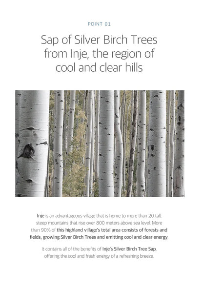 Silver birch trees with text about Inje, a region known for its cool and clear hills.