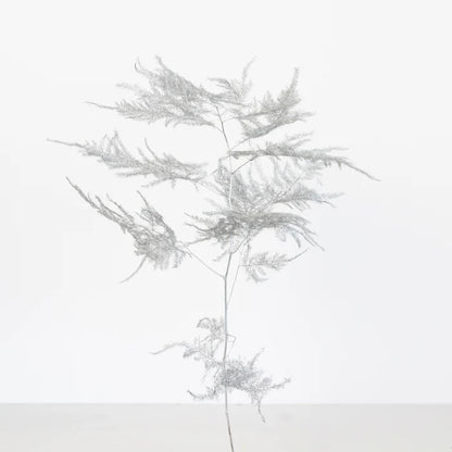 Silver Enhanced Plumosa Fern Greenery Stem - Image