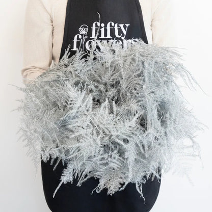 Silver Enhanced Plumosa Fern Greenery Apron - Image