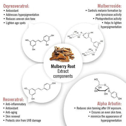 Skin Lightening Spot Serum, Daisy Flower + Alpha Arbutin + Mulberry Root, Dark Spots & Brightening, Hyperpigmentation, with Sodium Ascorbyl Phosphate - Keya Seth Aromatherapy