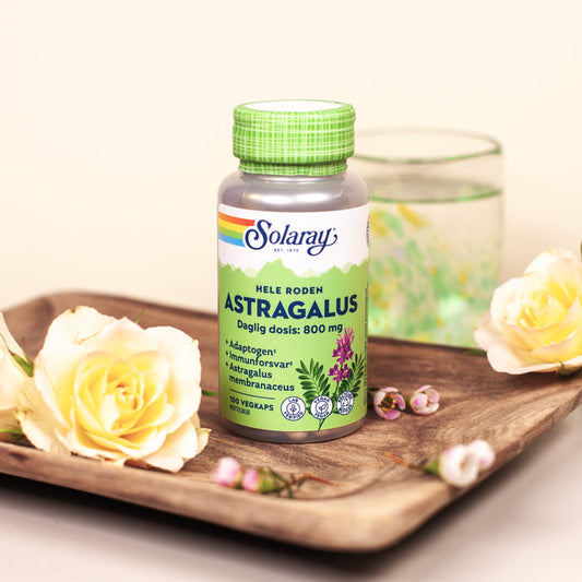 Solaray - Astragalus - 100 kapsler