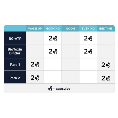 Step 2: Gut & Immune Support by CellCore Biosciences