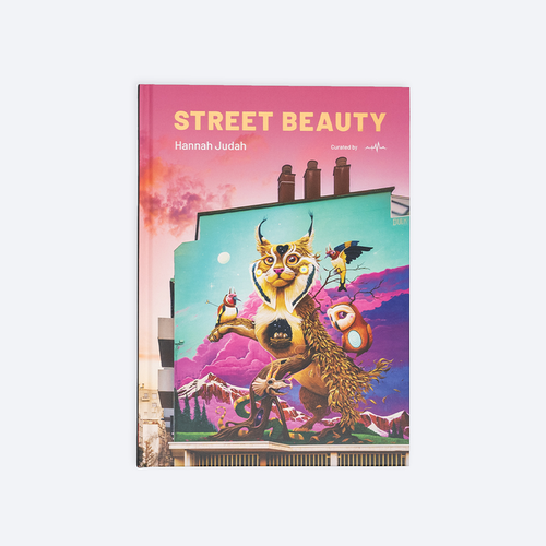 Street Beauty book with illustrated cover showing a fantastical animal guardian in city art