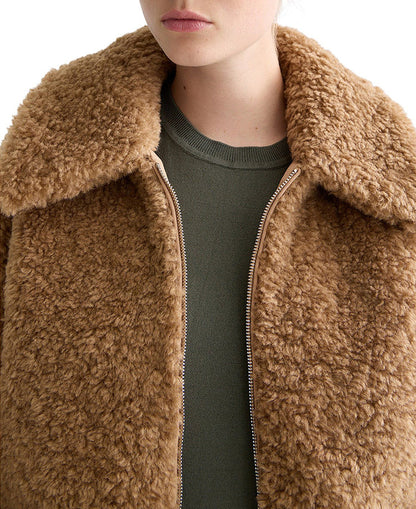 Teddy Bomber
