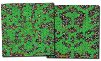 The Rose Labyrinth