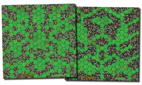 The Rose Labyrinth