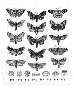 Tim Holtz - Moth Study Stamp Set - Stampers Anonymous