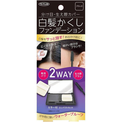 TO-PLAN Hair Retouching Compact Black