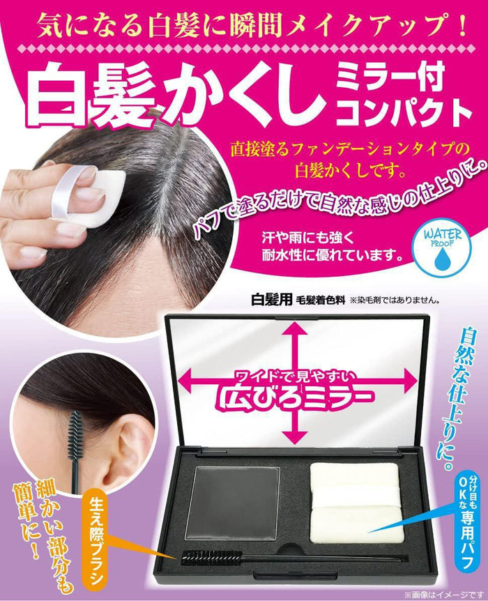 TO-PLAN Hair Retouching Compact Black