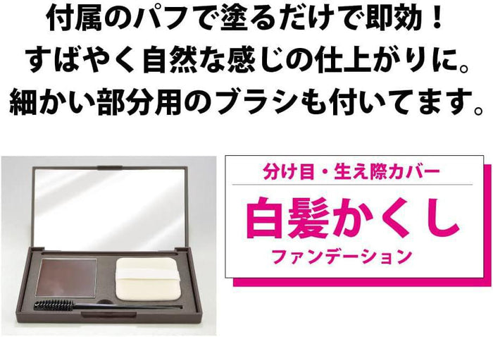 TO-PLAN Hair Retouching Compact Black