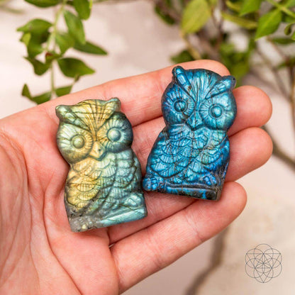 Token of Wisdom - Labradorite Owl Talisman