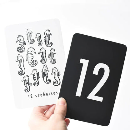 Wee Gallery Nature Number Cards