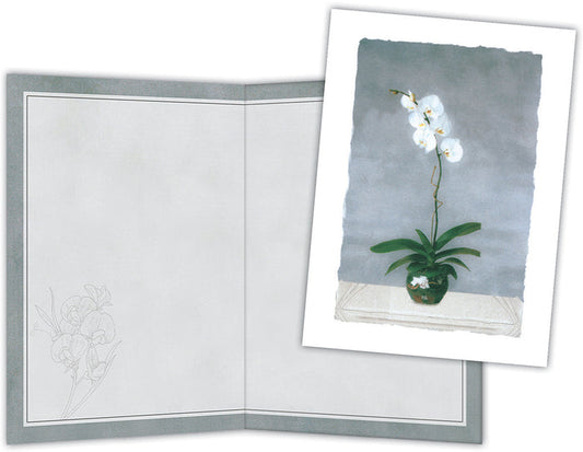 White Orchids - Boxed Note Cards, Box of 15