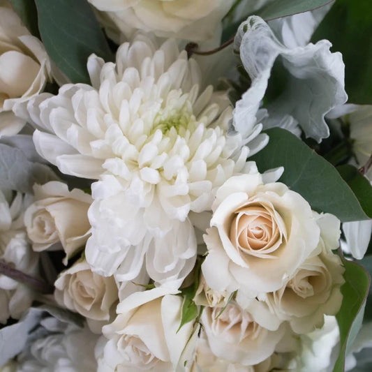 Winter White Diy Close Up - Image